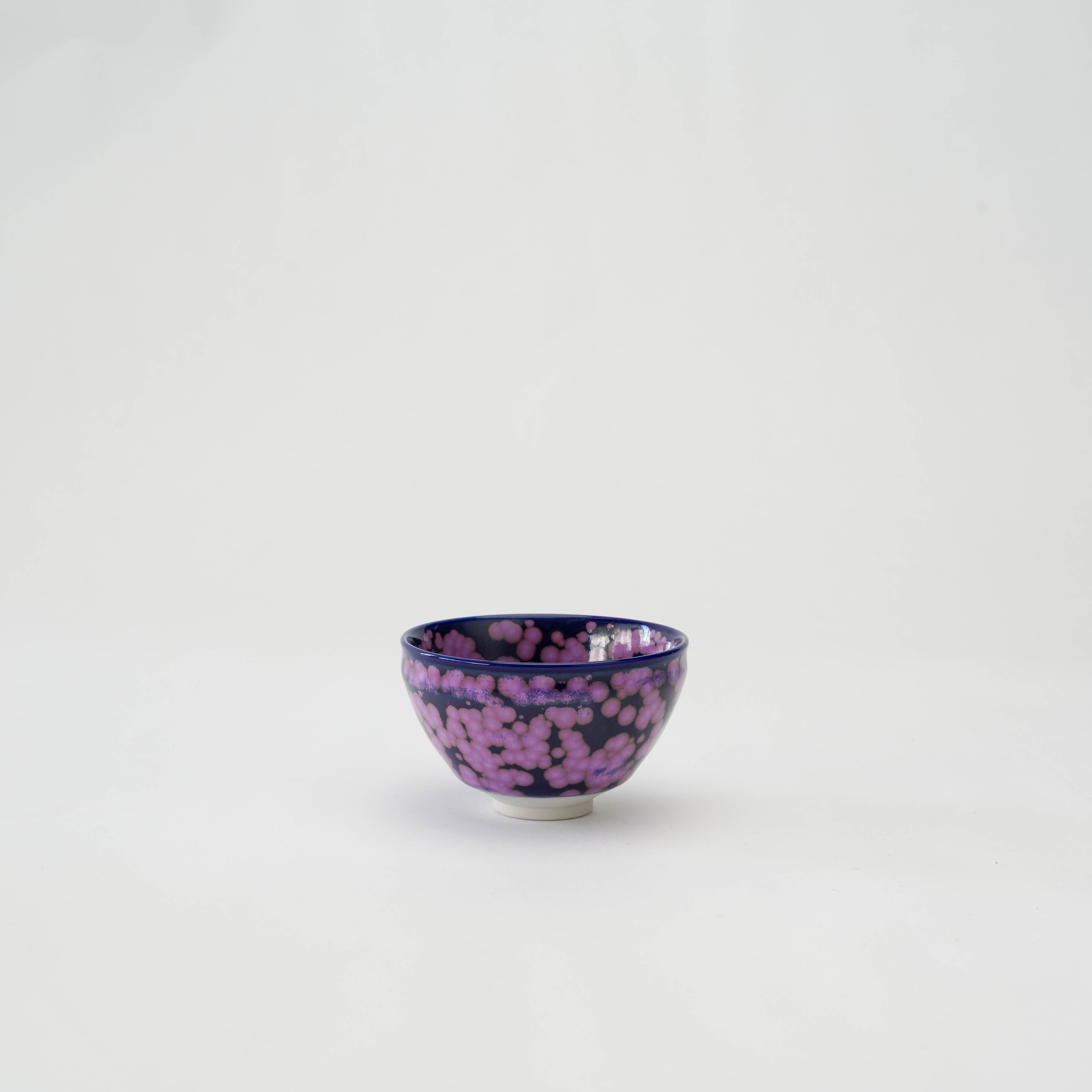 Arita Ware Shinemon Kiln Sakura Flower Sake Cup