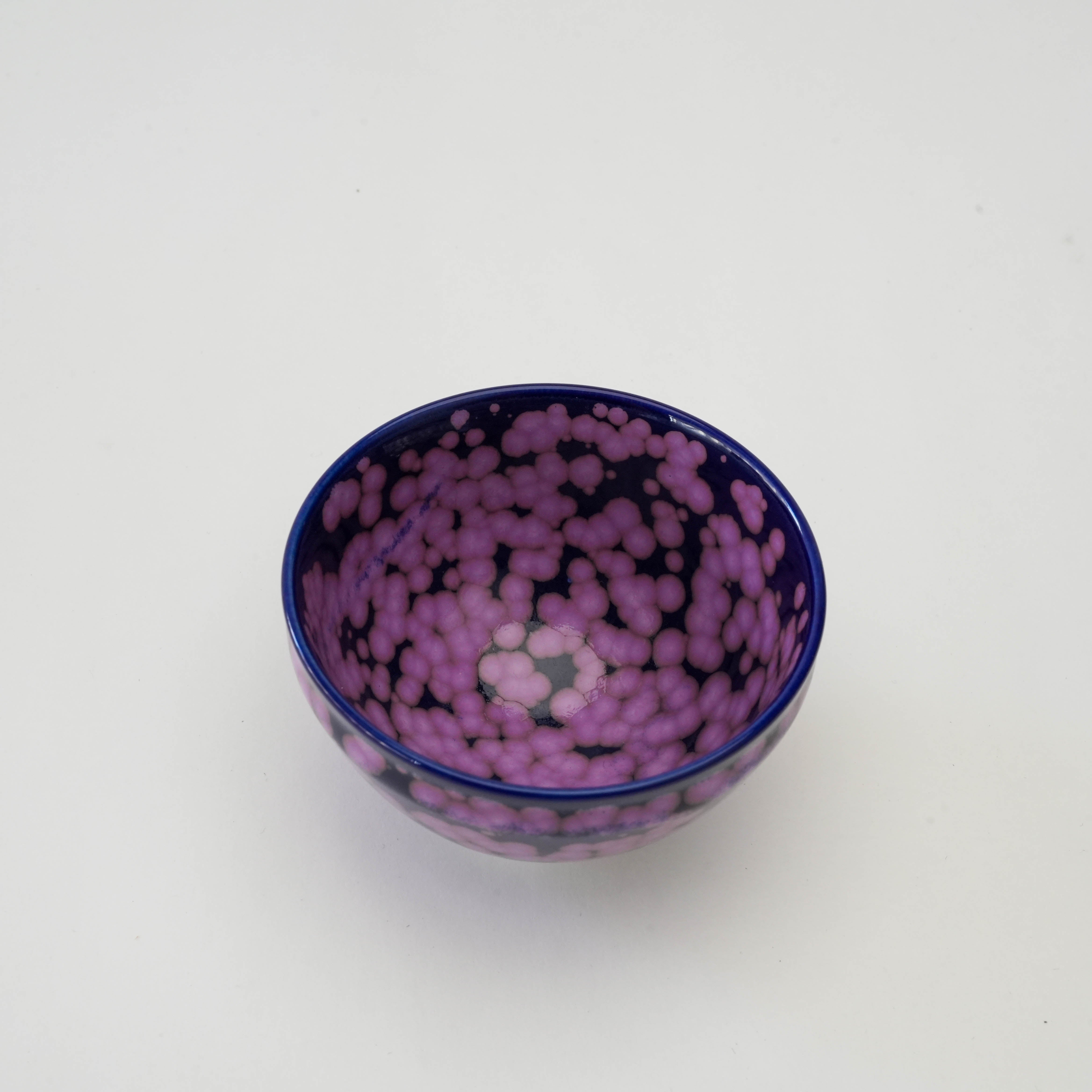 Arita Ware Shinemon Kiln Sakura Flower Sake Cup