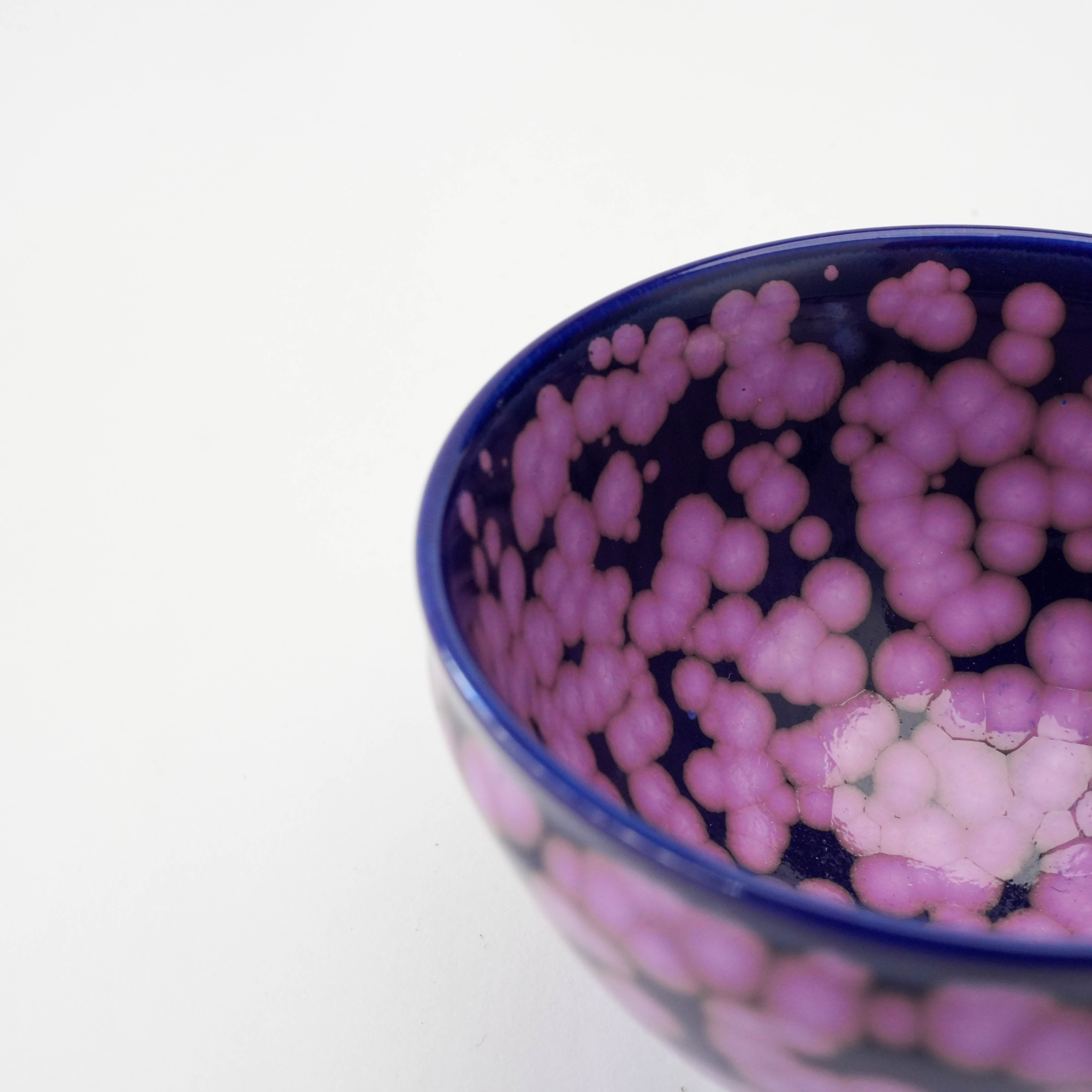 Arita Ware Shinemon Kiln Sakura Flower Sake Cup