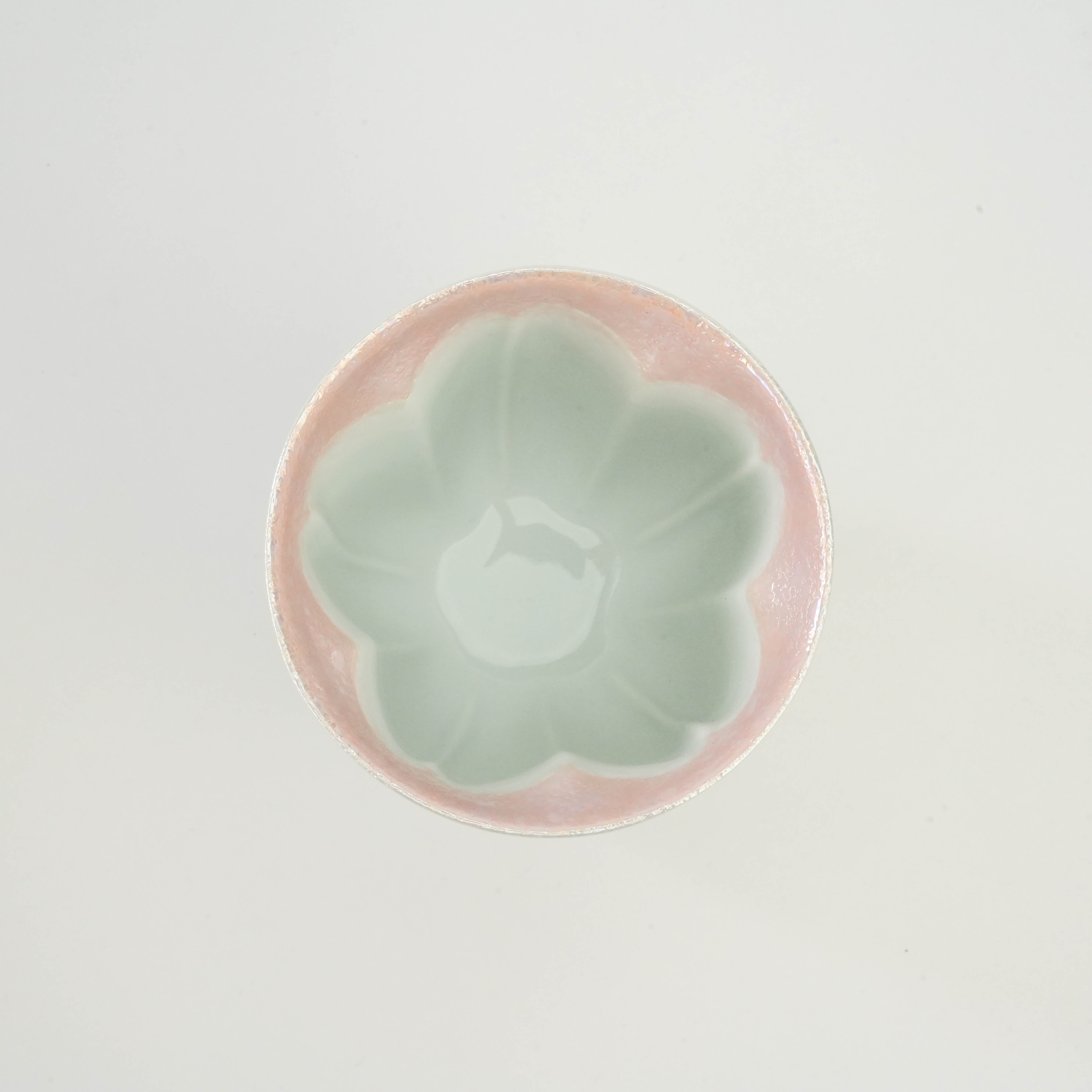 Arita Ware Maizakura Pink Sakura Yunomi Tea Cup