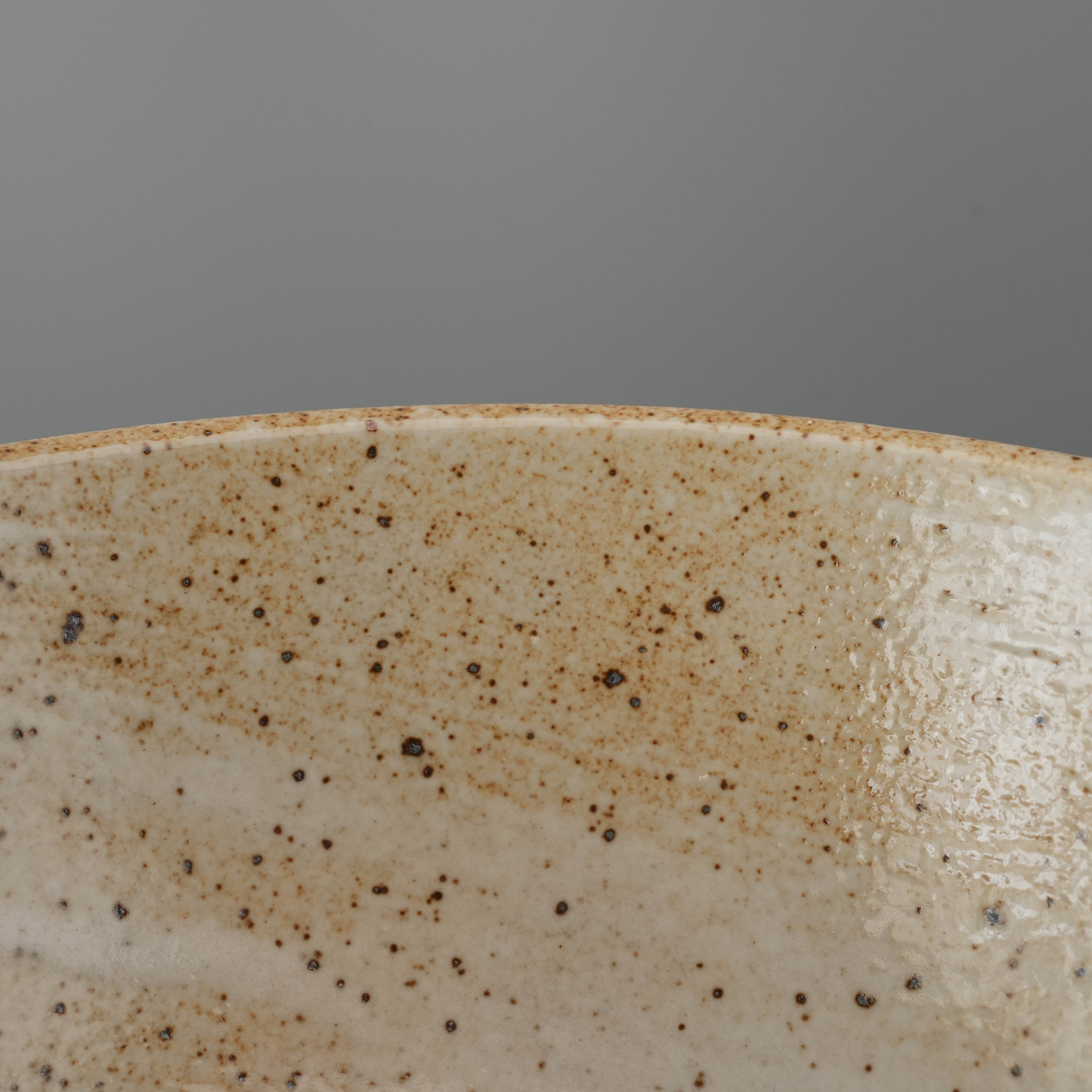 Close-up of Mino Ware Donburi Bowl rim showing speckled Wabi Sabi glaze texture. Highlights handcrafted Japanese ceramic detail.